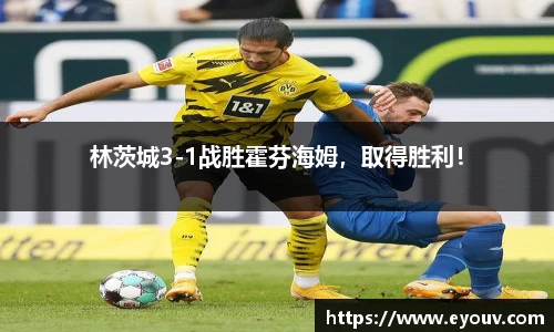 林茨城3-1战胜霍芬海姆，取得胜利！